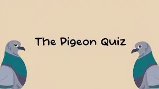 The pigeon quiz game (don’t buy this game!!)