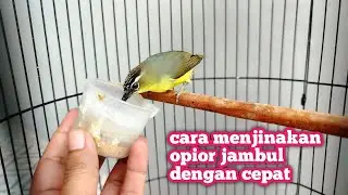 KALAU SUDAH BISA GINI AUTO GACOR DALAM WAKTU CEPAT‼️