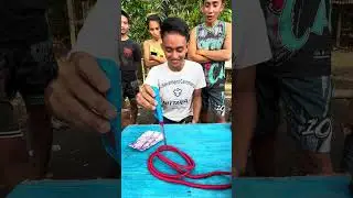 TOSOK