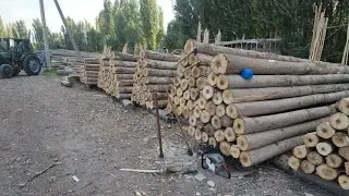Optim Terak bozorda narxlar tushdimi ?| ☎️945514245 | Optim terak bozor