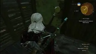 The Witcher 3: The Wild Hunt - Werewolf Battle