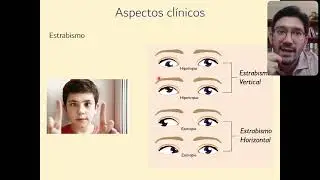 Aula 11 - Percepção de profundidade e tamanho (parte 3)