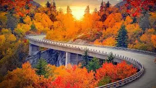 Трогательная мелодия осенней грусти. Послушайте! Заплаканная осень