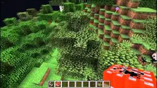 How to remove the forest in minecraft easily