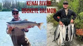 ALASKAN Sockeye (Red) Salmon Fishing On The Kenai River || 68 Salmon in 3 Days