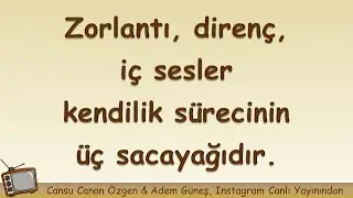 Zorlantı, direnç, iç sesler kendilik sürecinin üç sacayağıdır ▫️ Adem Güneş