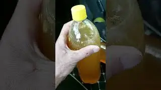 Асали Гарм фруши #Гарм 985787806