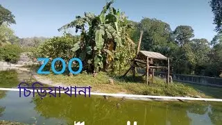 assam state zoo.