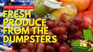 Dumpster Diving (Germany) : MINI DIVE : FRESH PRODUCE FROM THE DUMPSTER