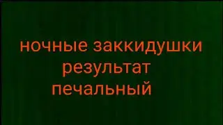ночные закидушки