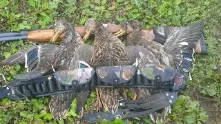 охота с ТОЗ-34 на утку с подхода.