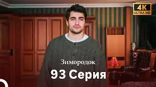 Зимородок 93 Cерия (Русский дубляж) (4K)