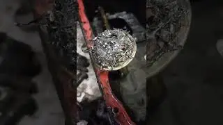 случий в сервесе🤣🤣🤣