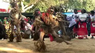 Video Ya mwaka hii nyani akicheza singeli
