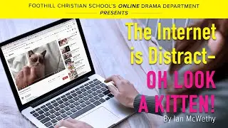 The Internet is a Distract-- OH Look a Kitten!