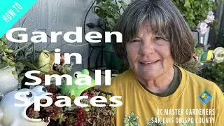 How To Garden In Small Spaces