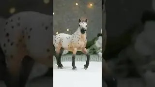 Schleich horse collection in 34 seconds