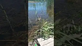 Вот такая вот рыбалка!