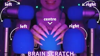 Asmr Mic Scratching - Brain Scratching with 7 Mics | Asmr No Talking for Sleep with Long Nails 1H