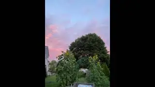 What are you up to? I’m enjoying my evening admiring beauty of nature while mosquitos are eating me.