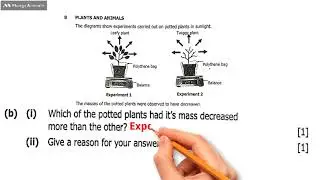 Science 2023 qb8b: Which plant will it's mass decreased