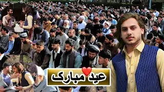 گزارش ویژه 