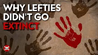 💀Left-Handed People Shouldn't Exist