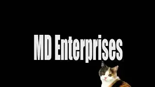MD Enterprises logo