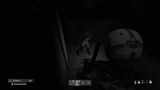 DayZ