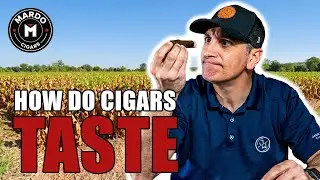 What do Cigars Taste Like? | Beginner Cigars Guide