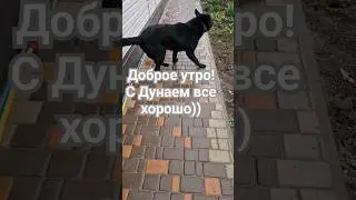 Немного о повадках нашего Дуная))