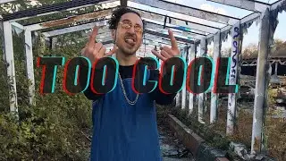 Figgy Baby - Too Cool (Official Video)