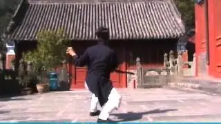 Wudang Taking-Tiger-Captive Boxing