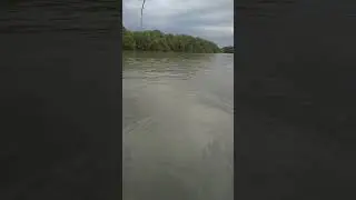 рыбалка