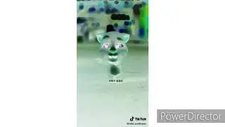 (REUPLOAD) Tik Tok Talking Tom dance cute in G Major