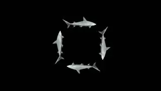 3D голограмма (не судить строго это моя первая 3D голограмма)