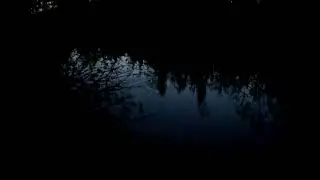 От ведьм отчёта вернулся таким.