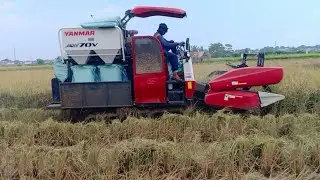 Mesin Panen Padi YANMAR #434