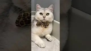 Девочка девочка🥰