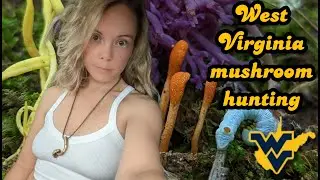 West Virginia mushroom hunting