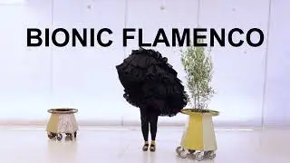 BIONIC FLAMENCO - MARTA GALVEZ & OLIVE TREE