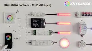 SKYDANCE  RGB/RGBW Series Lighting Control Express