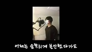 Wonderland - Mrch (Cover)