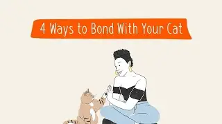 4 Ways to Bond With Your Cat | Pet Parenting 101