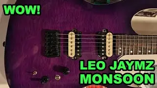 Leo Jaymz Monsoon Electric Guitar Will Blow You Away!