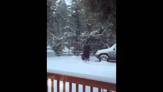 Gotta blow that snow