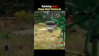Ranking The Best Wasp Nest Removal Moments 2