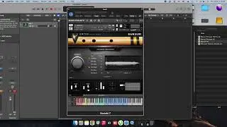 Indian Kontakt Library 