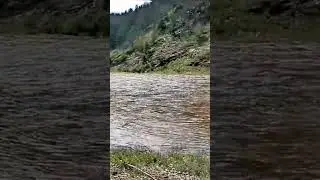 Потоп 14.07.2024 в селе Кага после вчерашних дождей