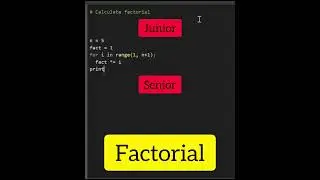 Junior Vs. Senior Python Developer 